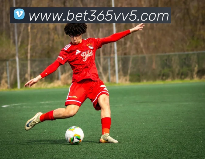 bet365中国官网APP 封面图
